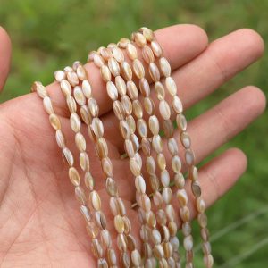 Freshwater shell rice & tube beads